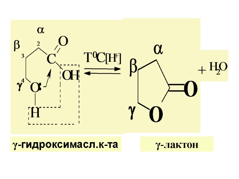 γ-гидроксимасл.к-та γ-лактон